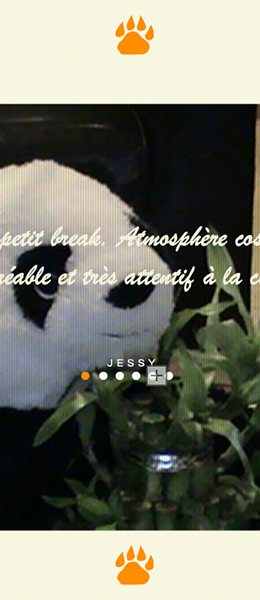 Panda Café page commentaires - Création du site web de Panda Café, une chaîne de cafés cosy proposant boissons chaudes, gourmandises et ambiance chaleureuse
