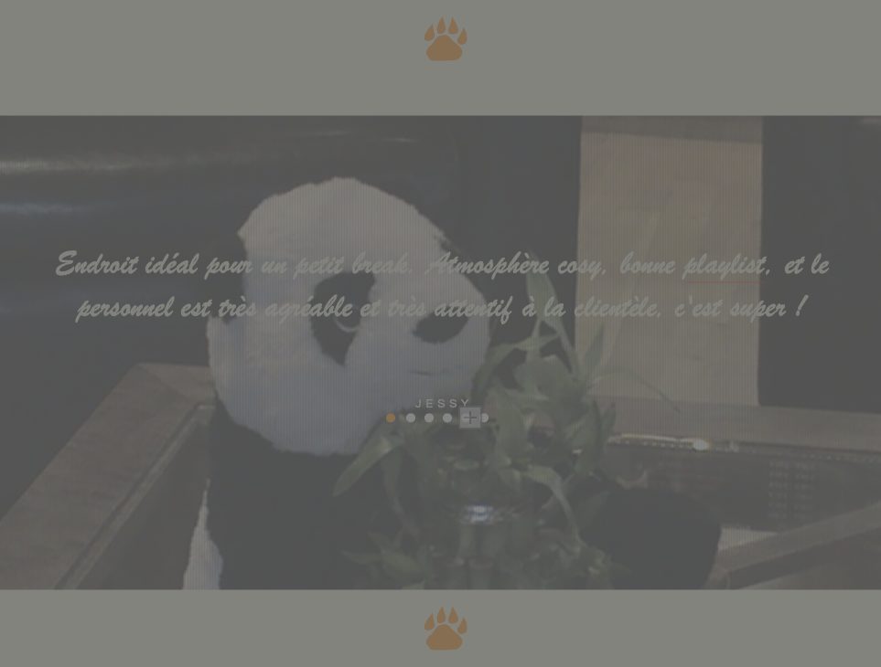 Panda Café page commentaires - Création du site web de Panda Café, une chaîne de cafés cosy proposant boissons chaudes, gourmandises et ambiance chaleureuse