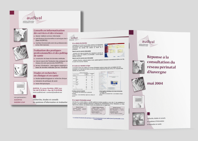 Création d'un document en réponse à une consultation du réseau périnatal d'auvergne et insertion publicitaire — création graphique réalisée par emmanuelle lemaire