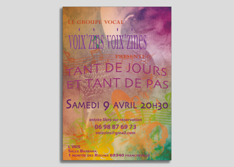 Affiche A3 Voix’Zins Voix’Zines – création graphique Elem’Com, portfolio créations graphiques et web
